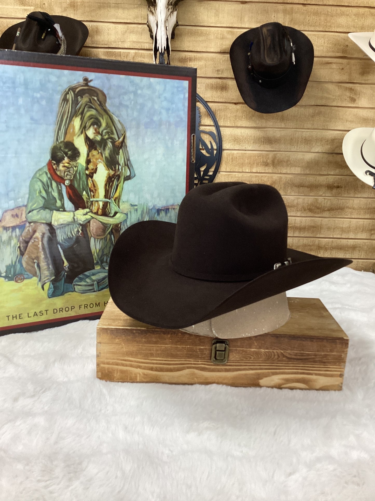 Stetson 6X Skyline Felt Hat - Chocolate
