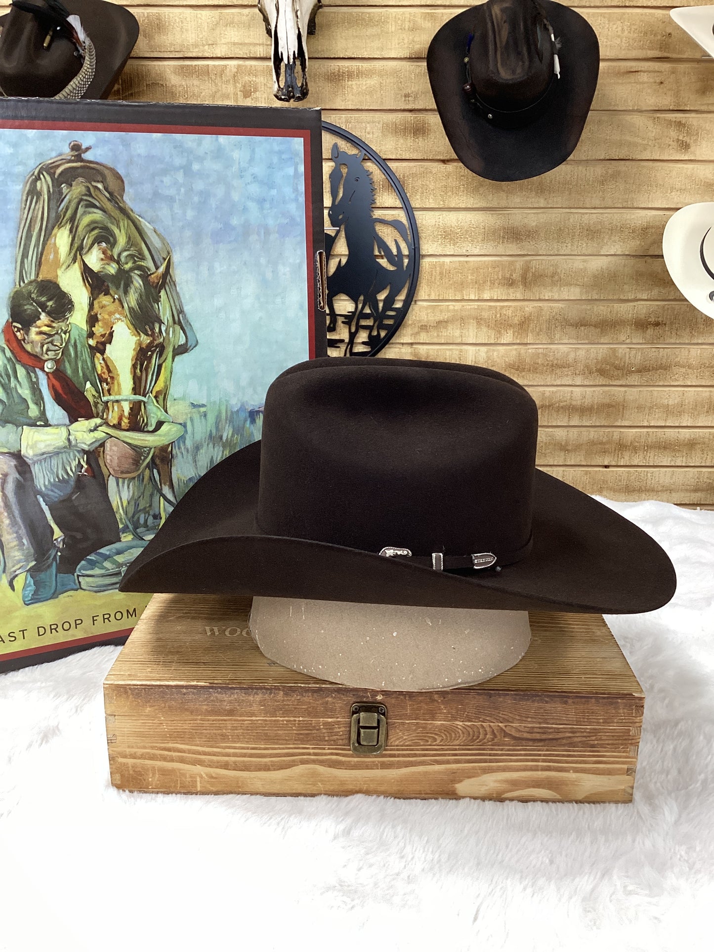 Stetson 6X Skyline Felt Hat - Chocolate