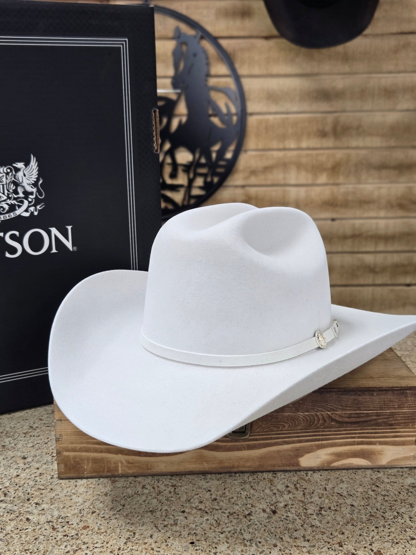 Stetson 10X Shasta Felt Hat -White