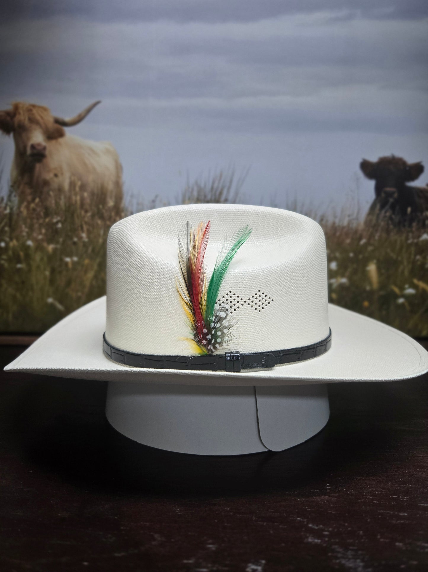 Stone Vaquerito/a Chaparral Lona Western Hat