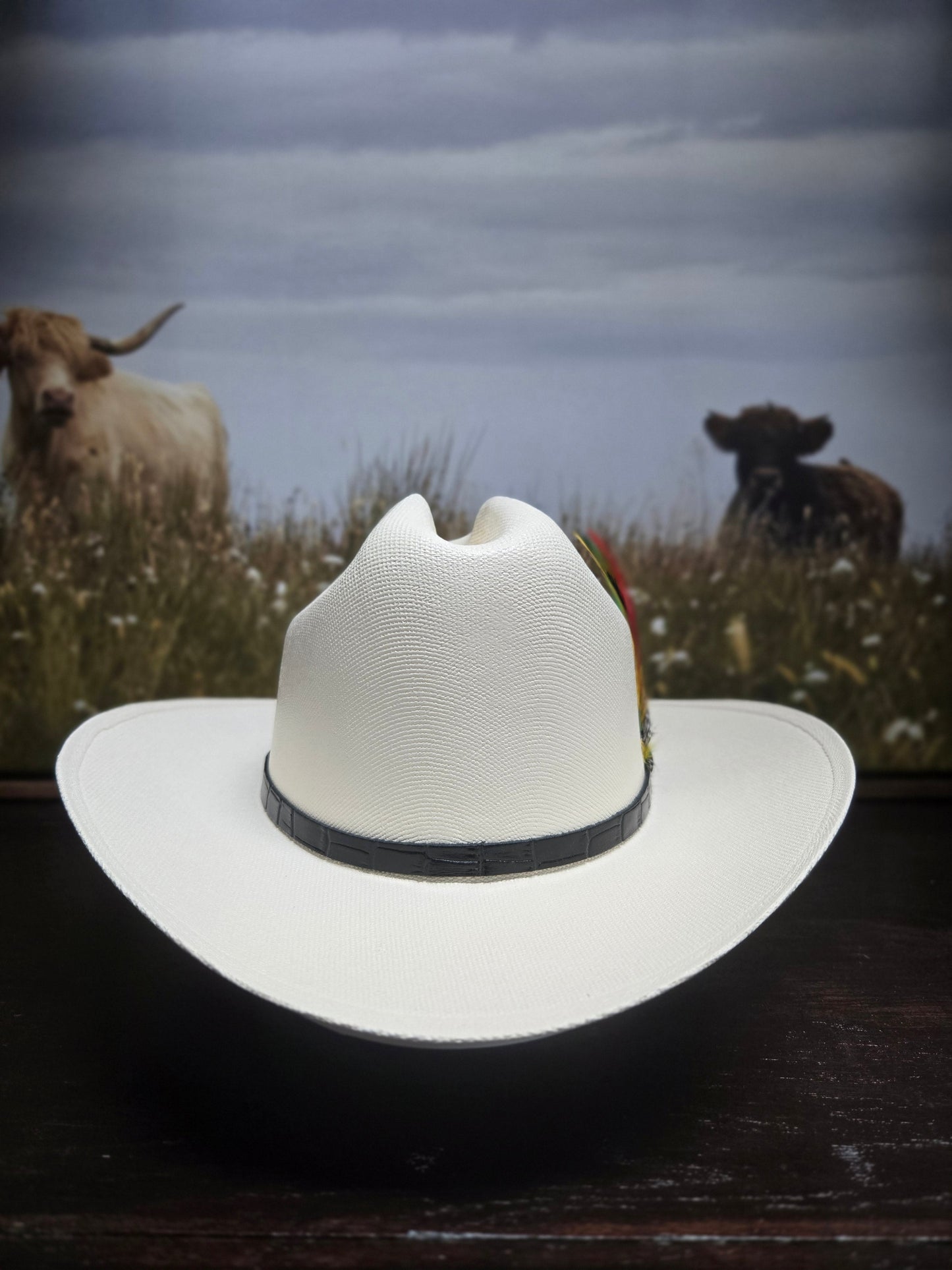 Stone Vaquerito/a Chaparral Lona Western Hat