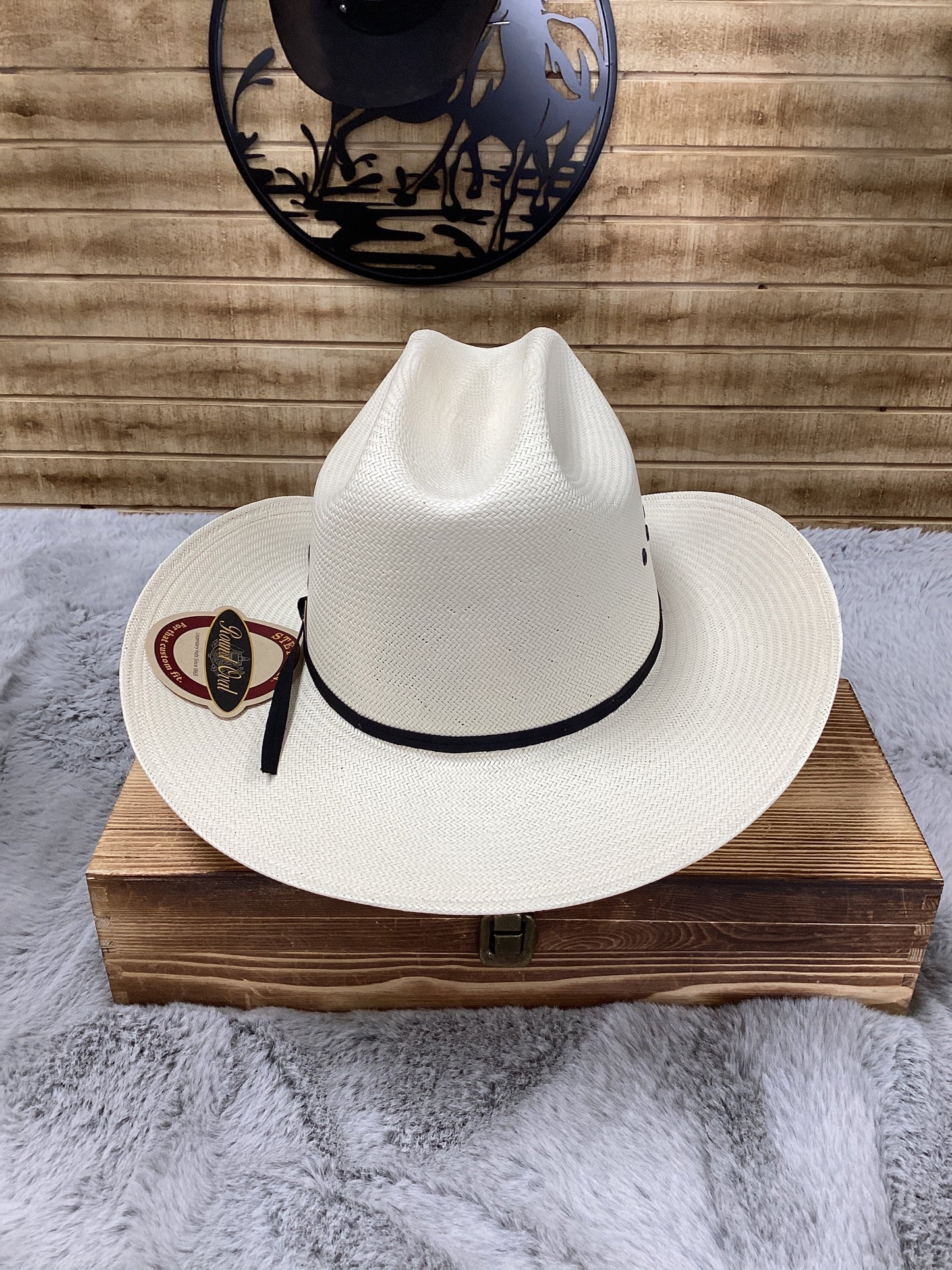 Stetson 10x Rancher 81 Black Eye