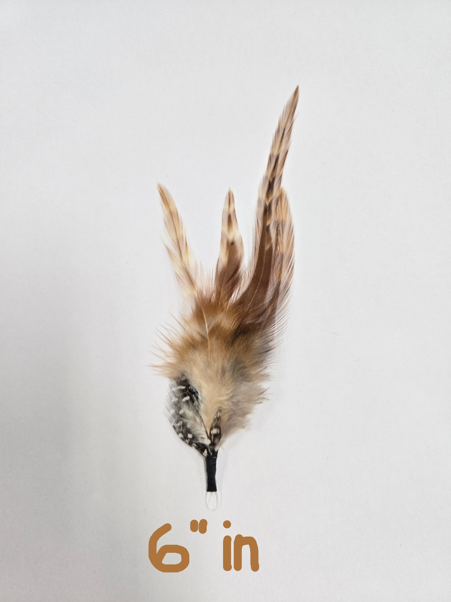 Feathers/Plumas One Piece
