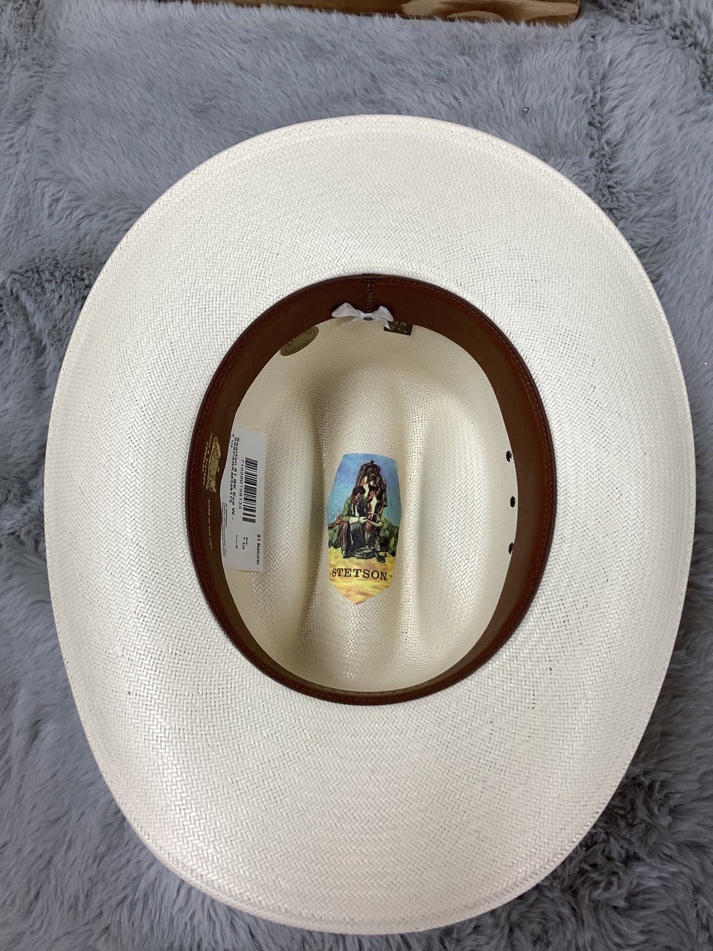 Stetson 10x Rancher 81 Black Eye