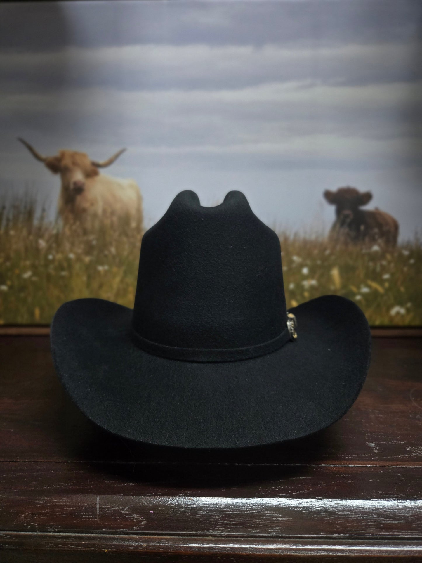 Tombstone 20x El Viejonon Wool Felt Hat - Black