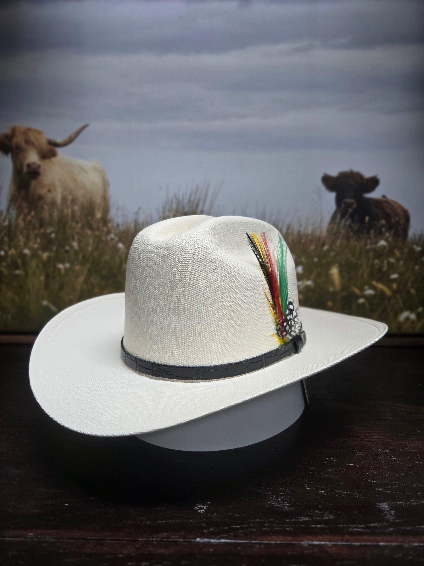 Stone Vaquerito/a Chaparral Lona Western Hat