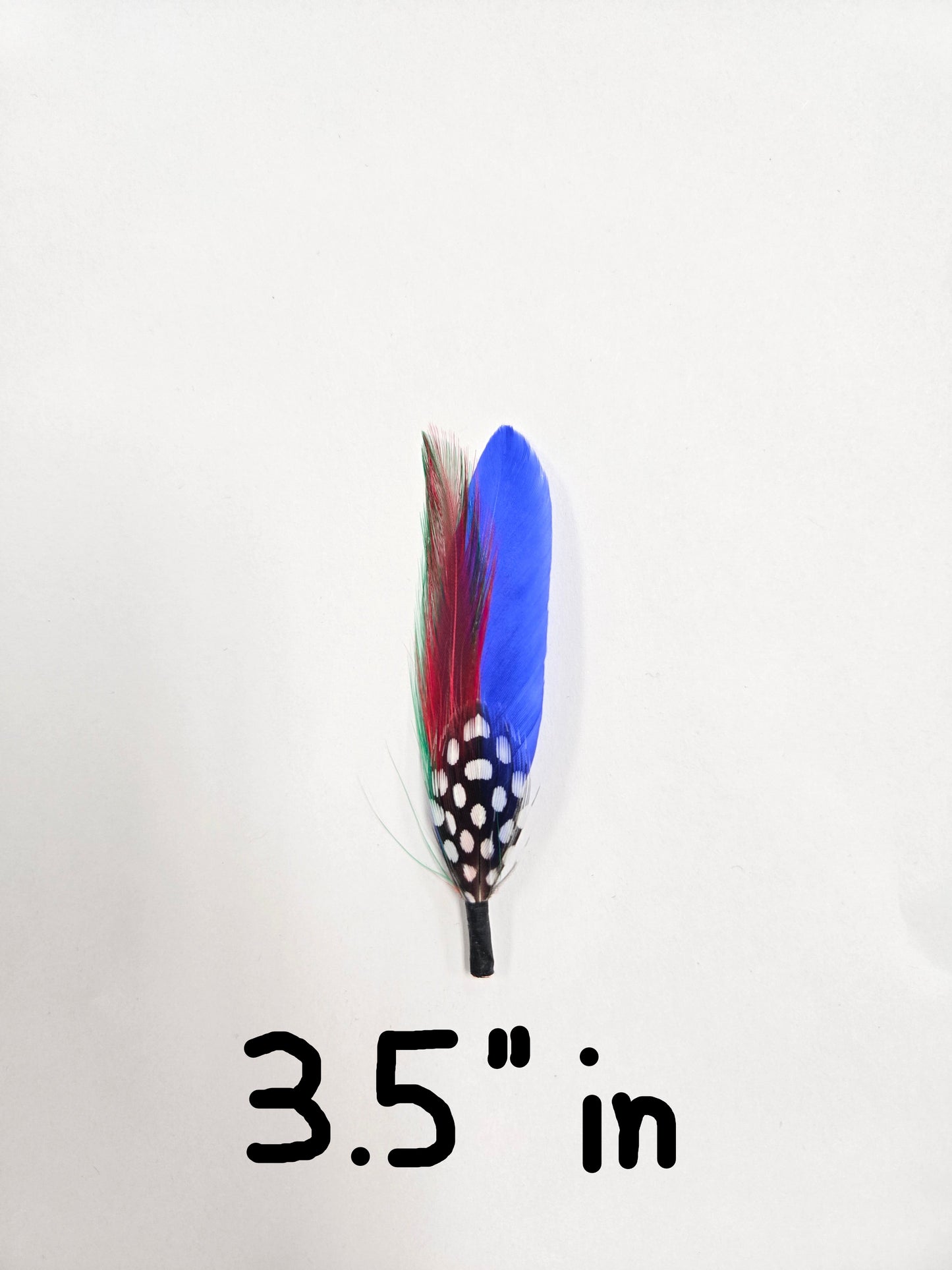 Feathers/Plumas One Piece