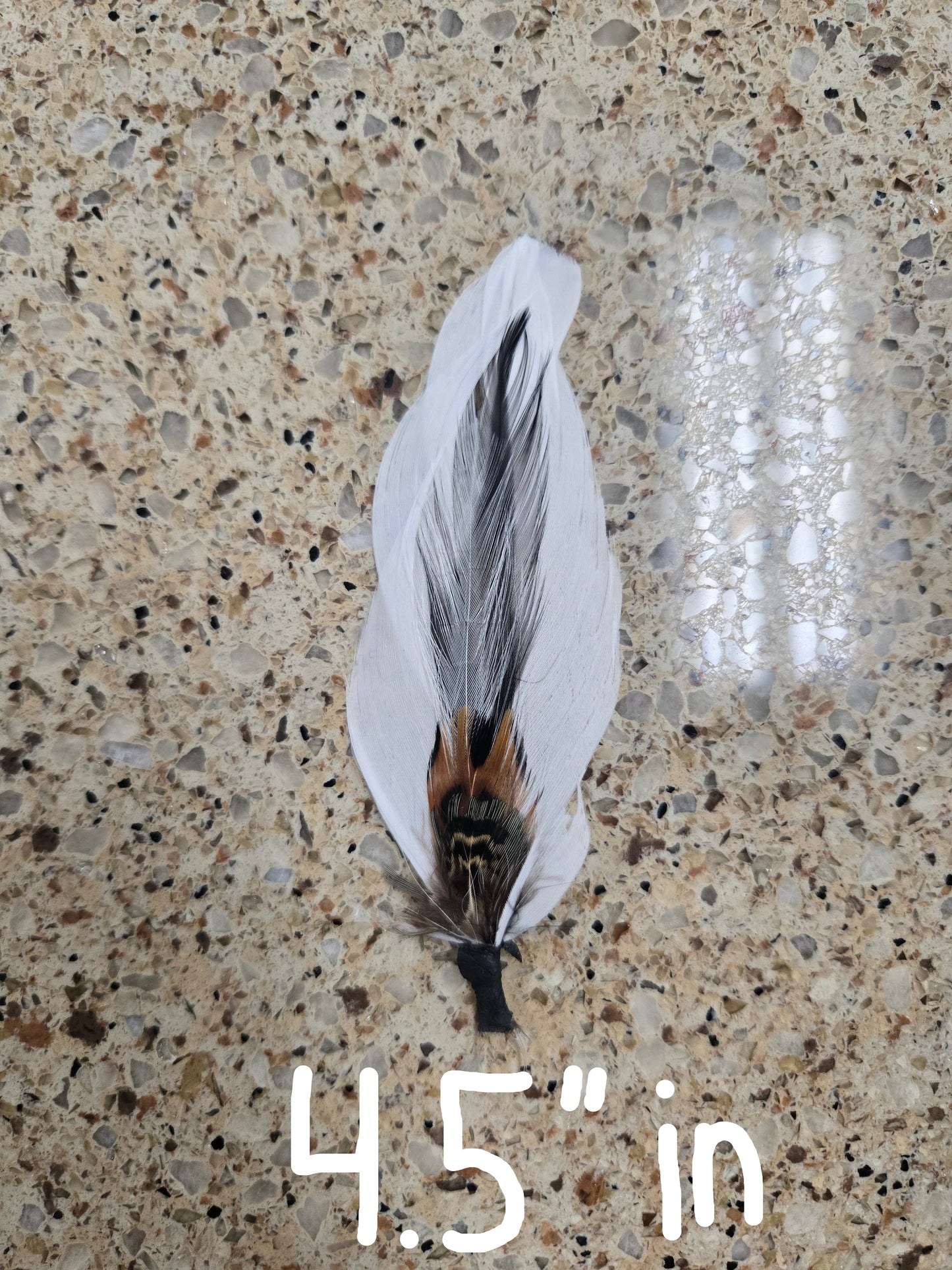 Feathers/Plumas One Piece