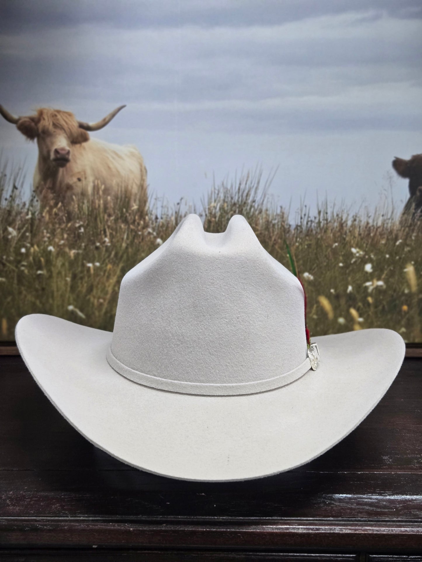 Potrero 30x Sinaloa Wool Felt Hat - Beige