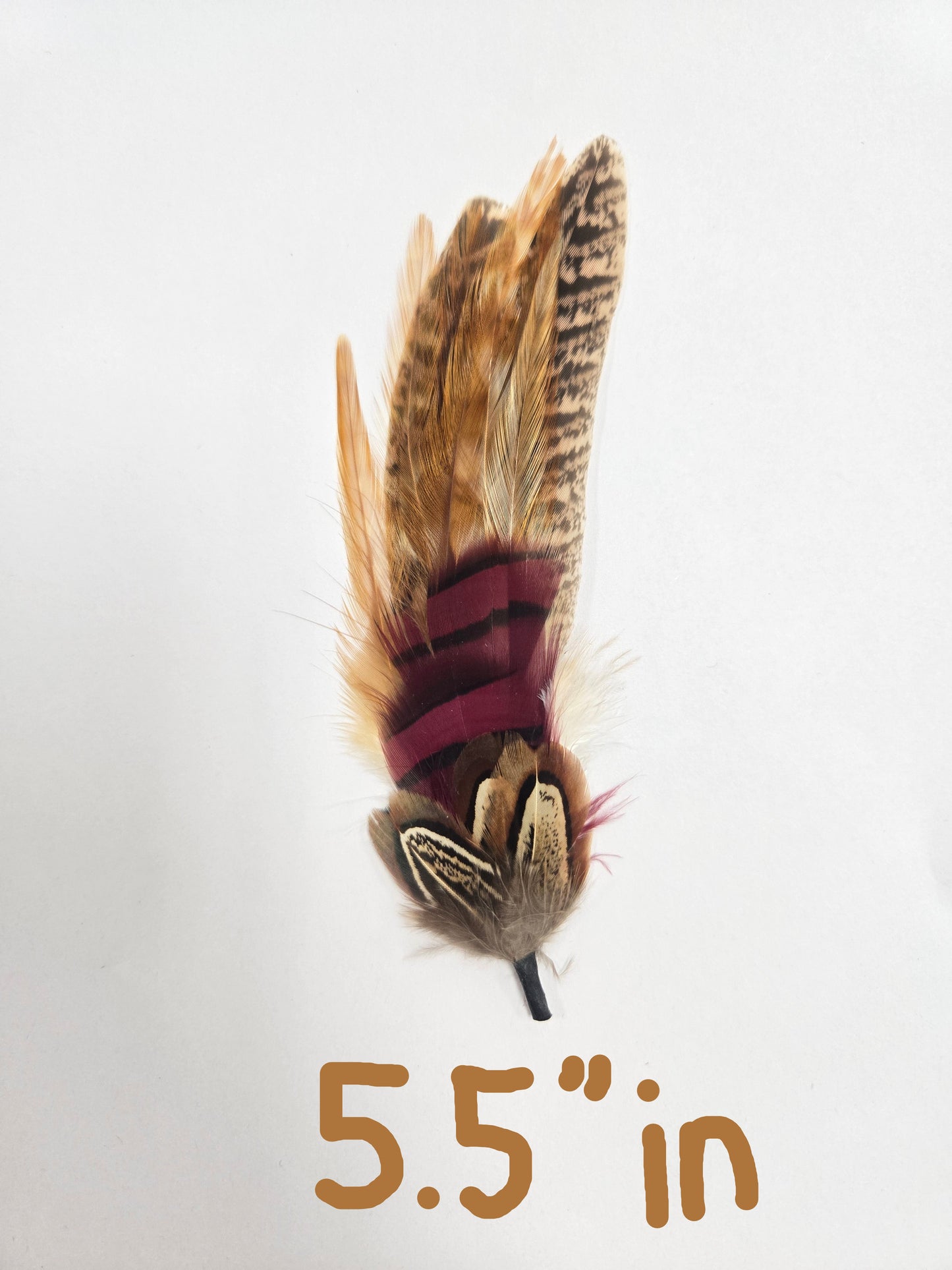 Feathers/Plumas One Piece