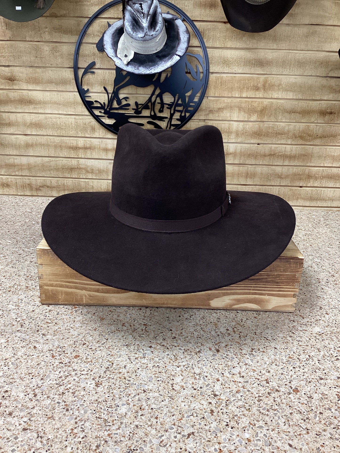 White Diamond Albany Wool Felt Hat - Dark Chocolate