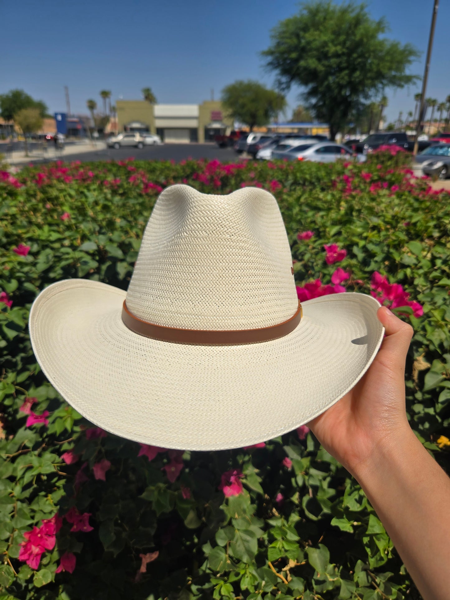 Resistol 10X Big Spender Evelet Shantung Hat