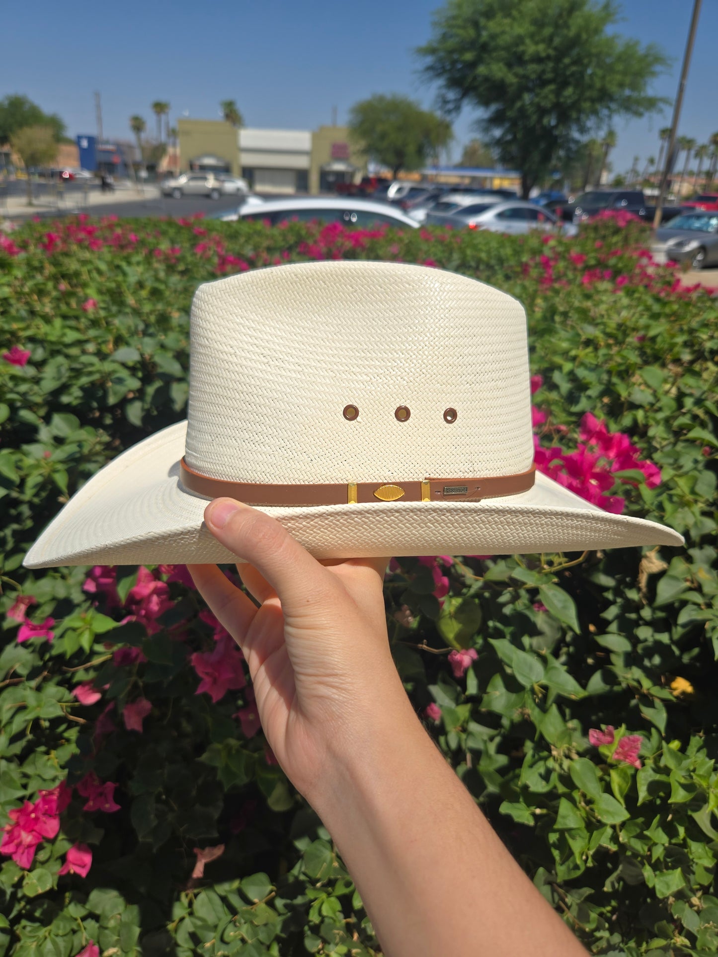 Resistol 10X Big Spender Evelet Shantung Hat