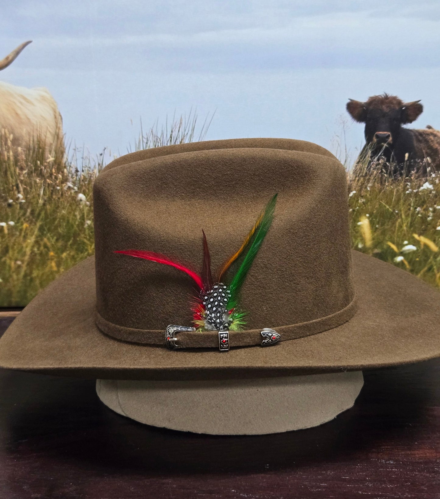 White Diamond 100x Sinaloa Wool Felt Hat - Black, Chocolate