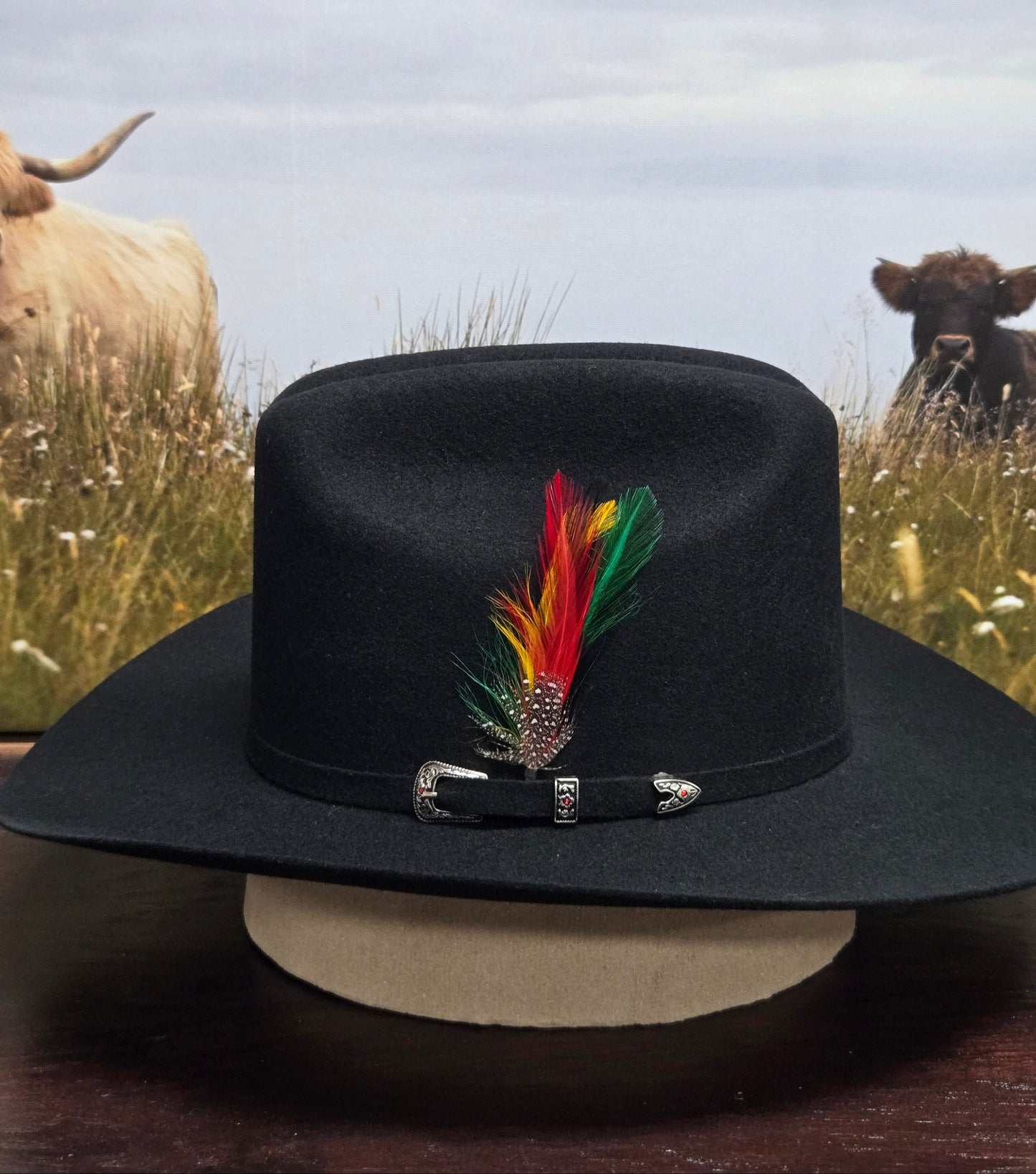 White Diamond 100x Sinaloa Wool Felt Hat - Black, Chocolate