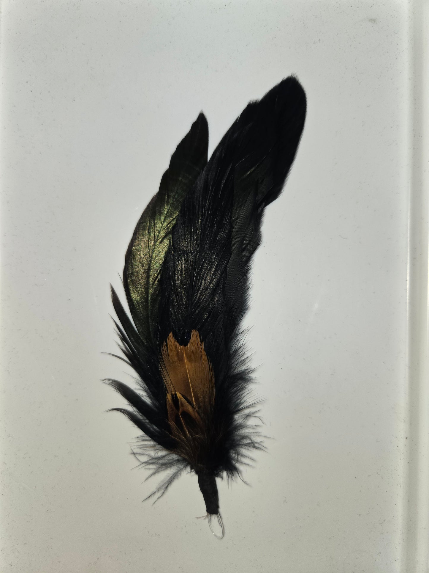 Feathers/Plumas One Piece