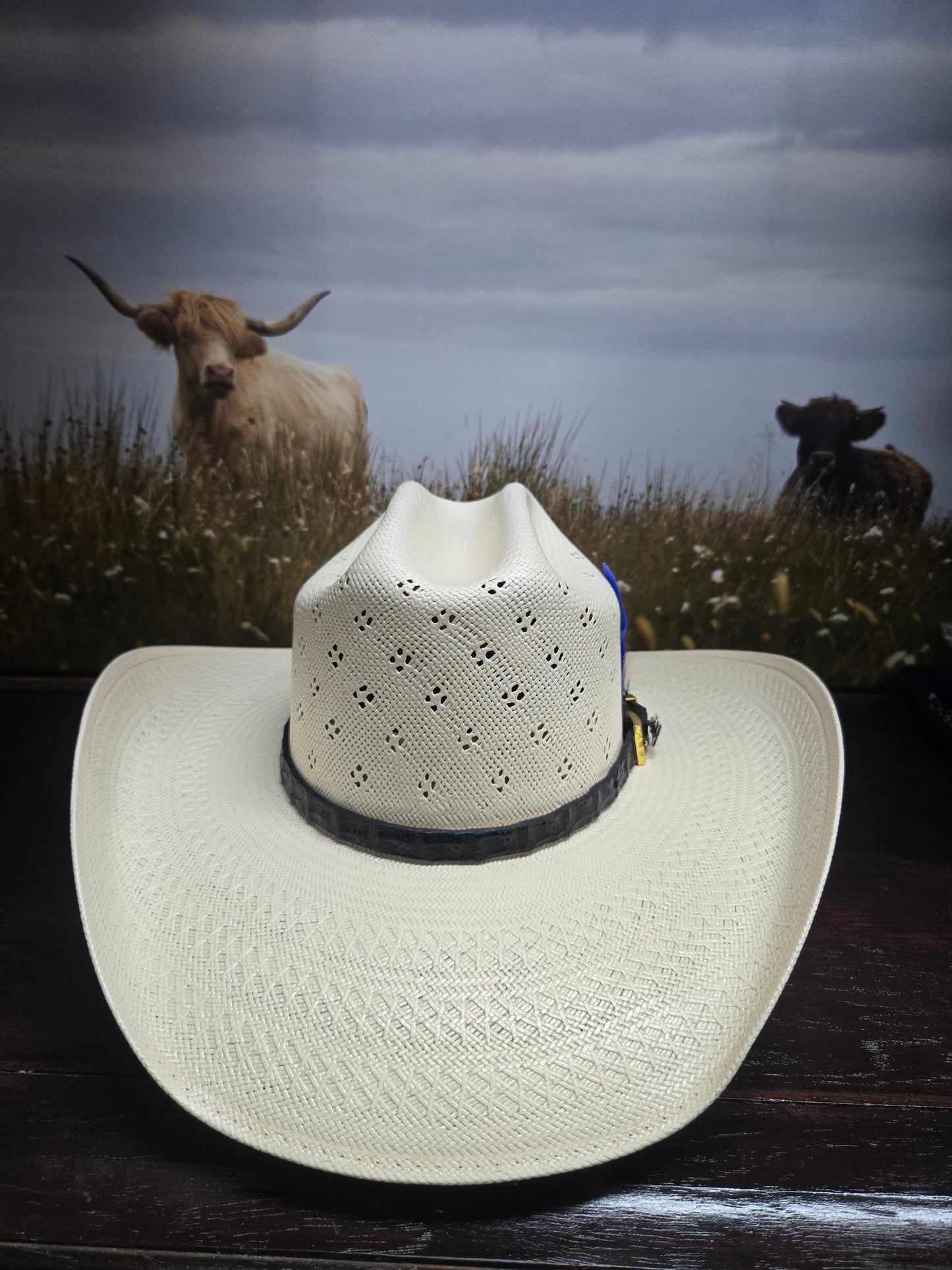 Tombstone 100x Roper Flower Shantung w/ Genuine Caiman Hatband