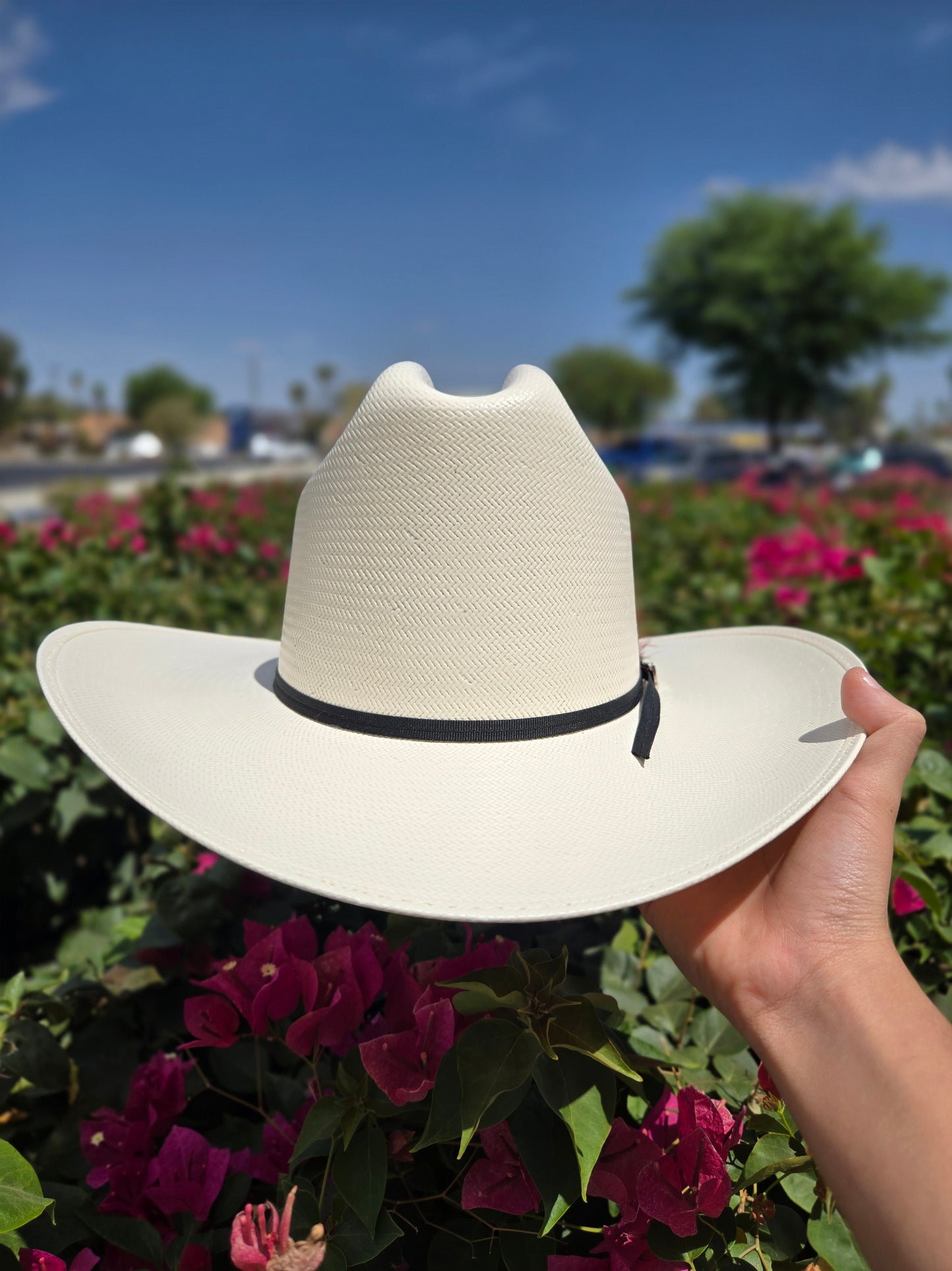 Cuernos Chuecos 100x Johnson Shantung Hat