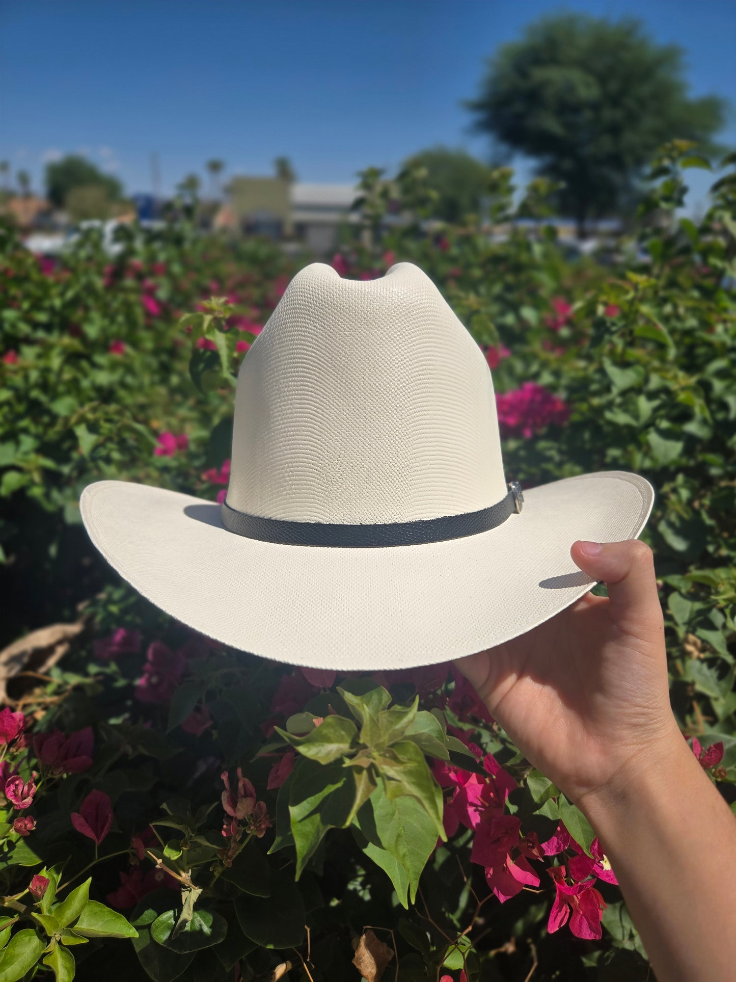 Stone 1000x Johnsons Telar Hat - Virgen De Guadalupe