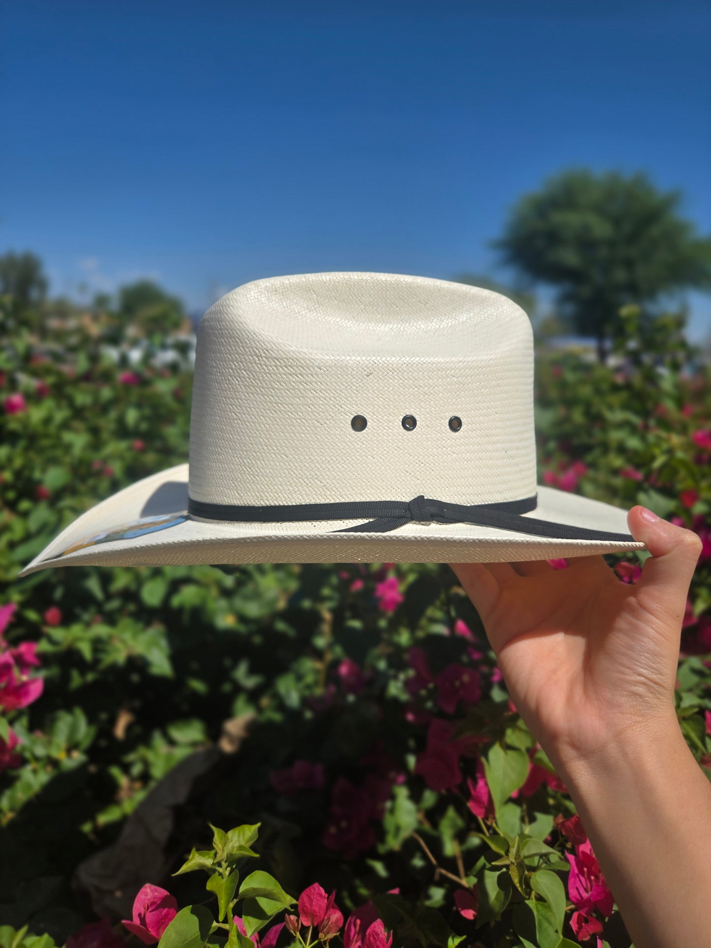 Stetson 10x Rancher 81 Black Eye