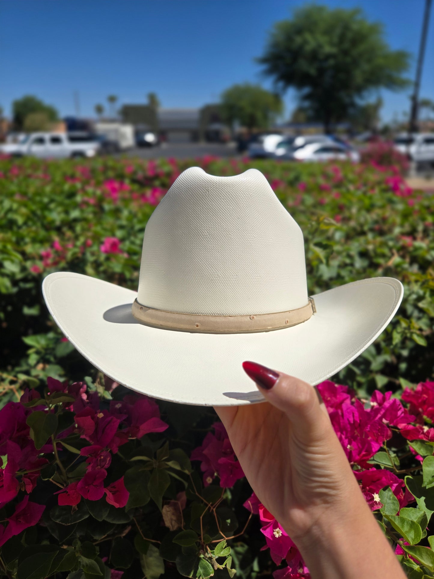 Panama El Jefe By Red Diamond 500x