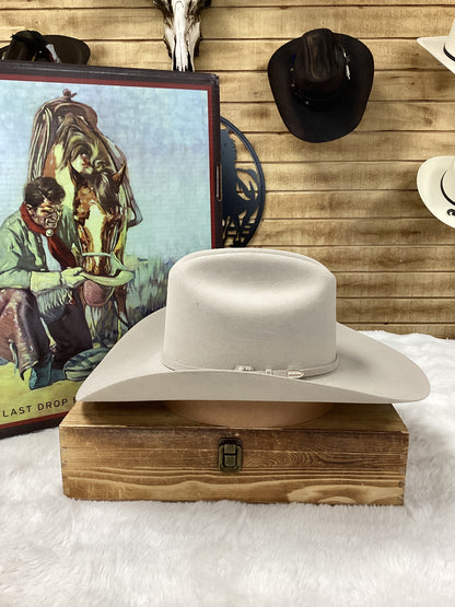 Stetson 6x Skyline Felt Hat - Silver Belly