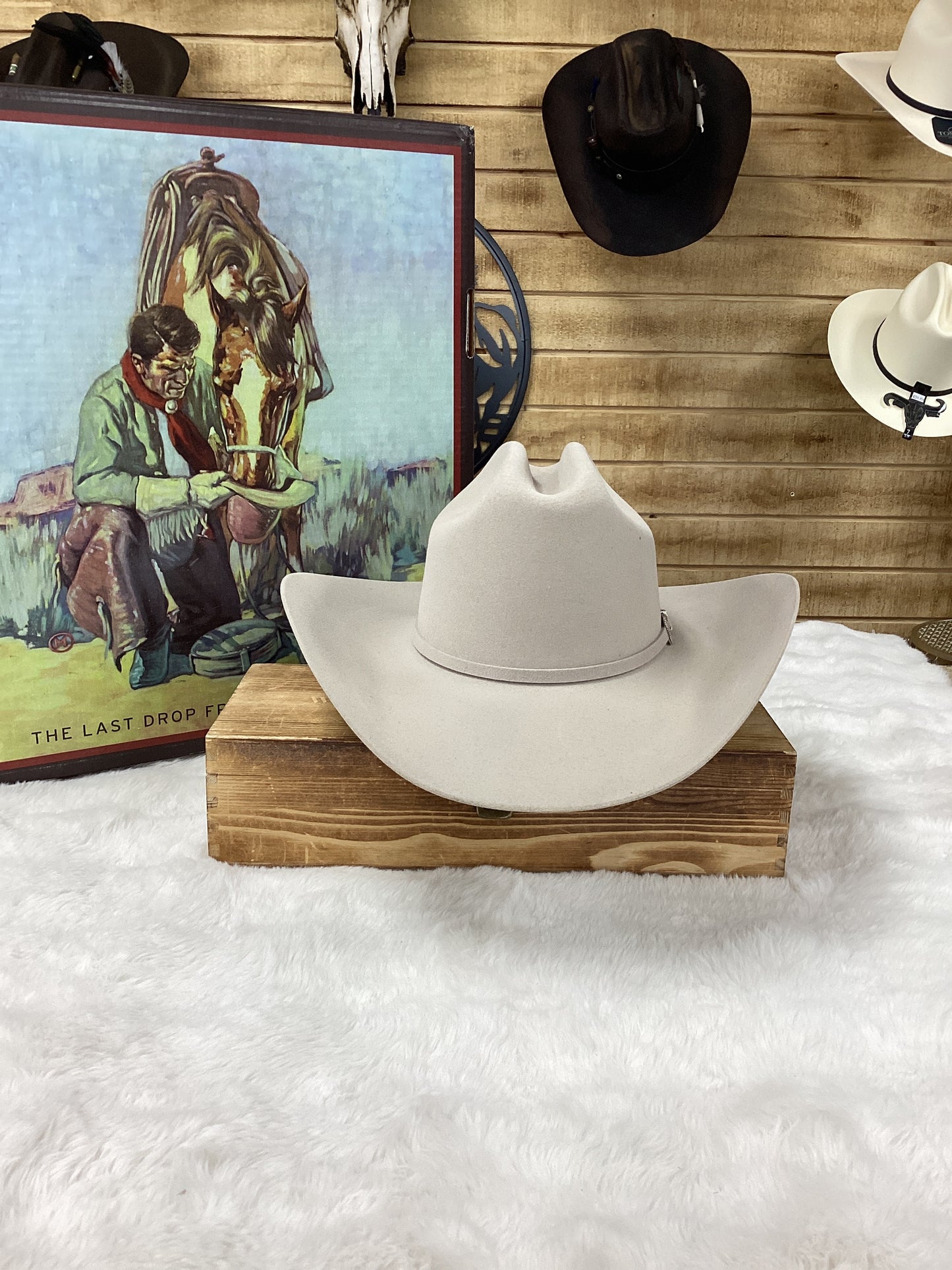 Stetson 6x Skyline Felt Hat - Silver Belly