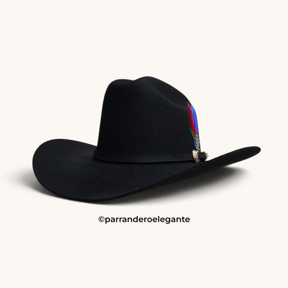 Austin 200X Sinaloa Wool Felt Texana - Black