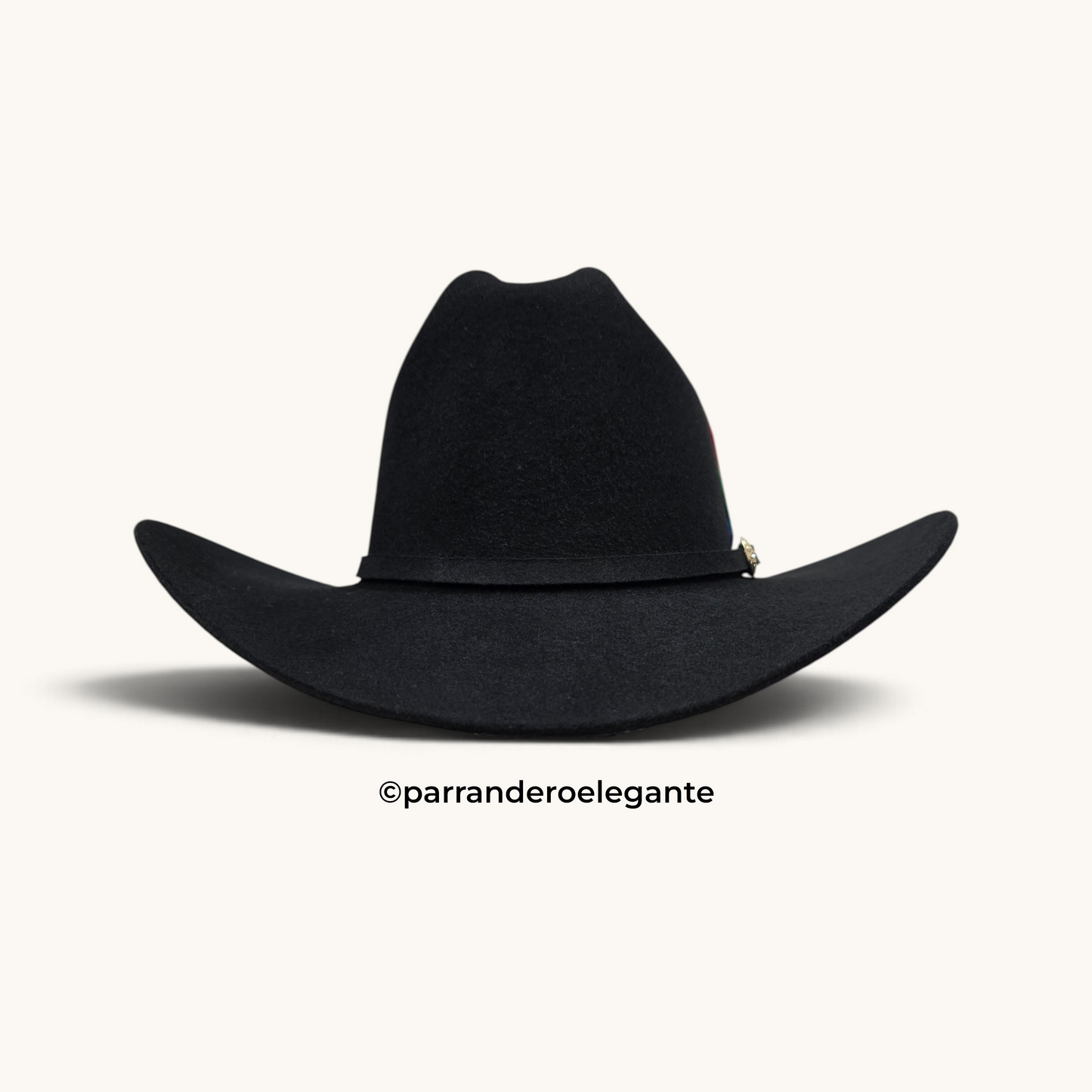 Austin 200X Sinaloa Wool Felt Texana - Black