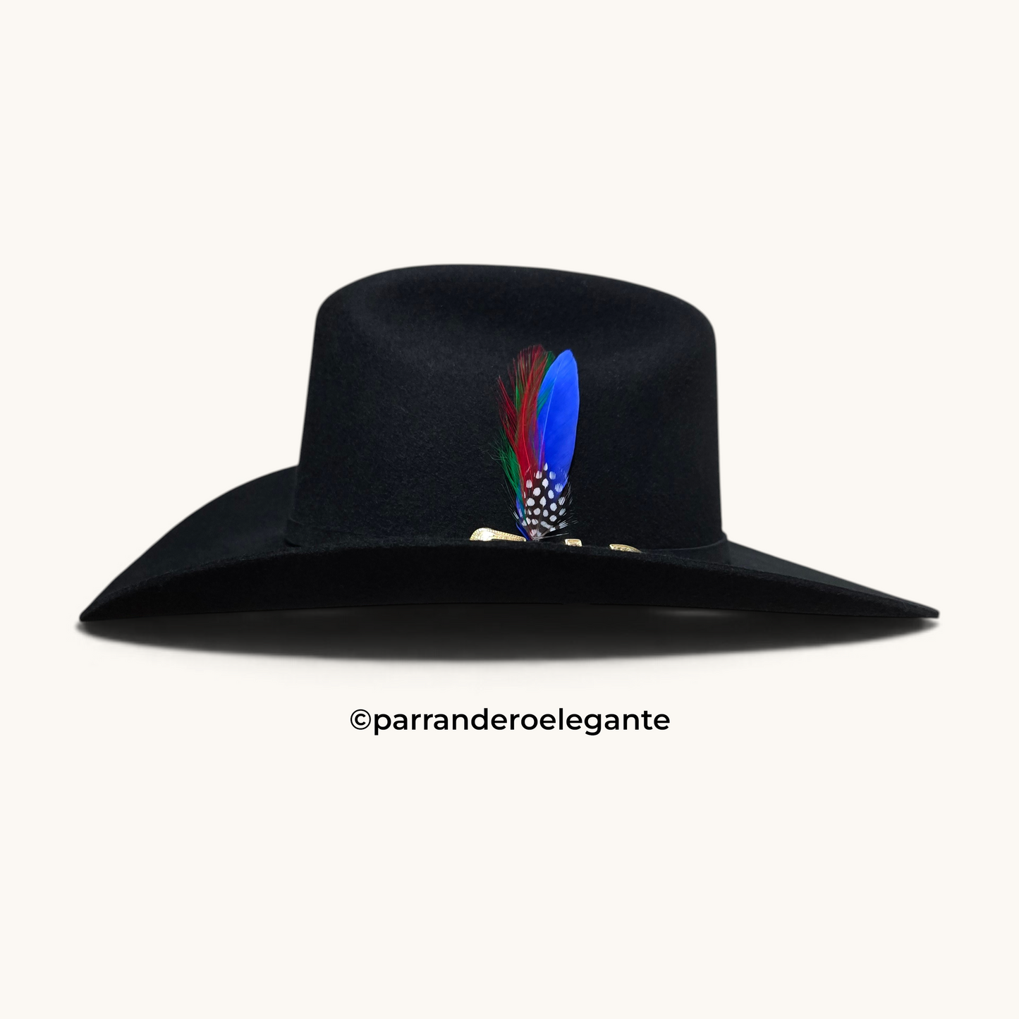 Austin 200X Sinaloa Wool Felt Texana - Black