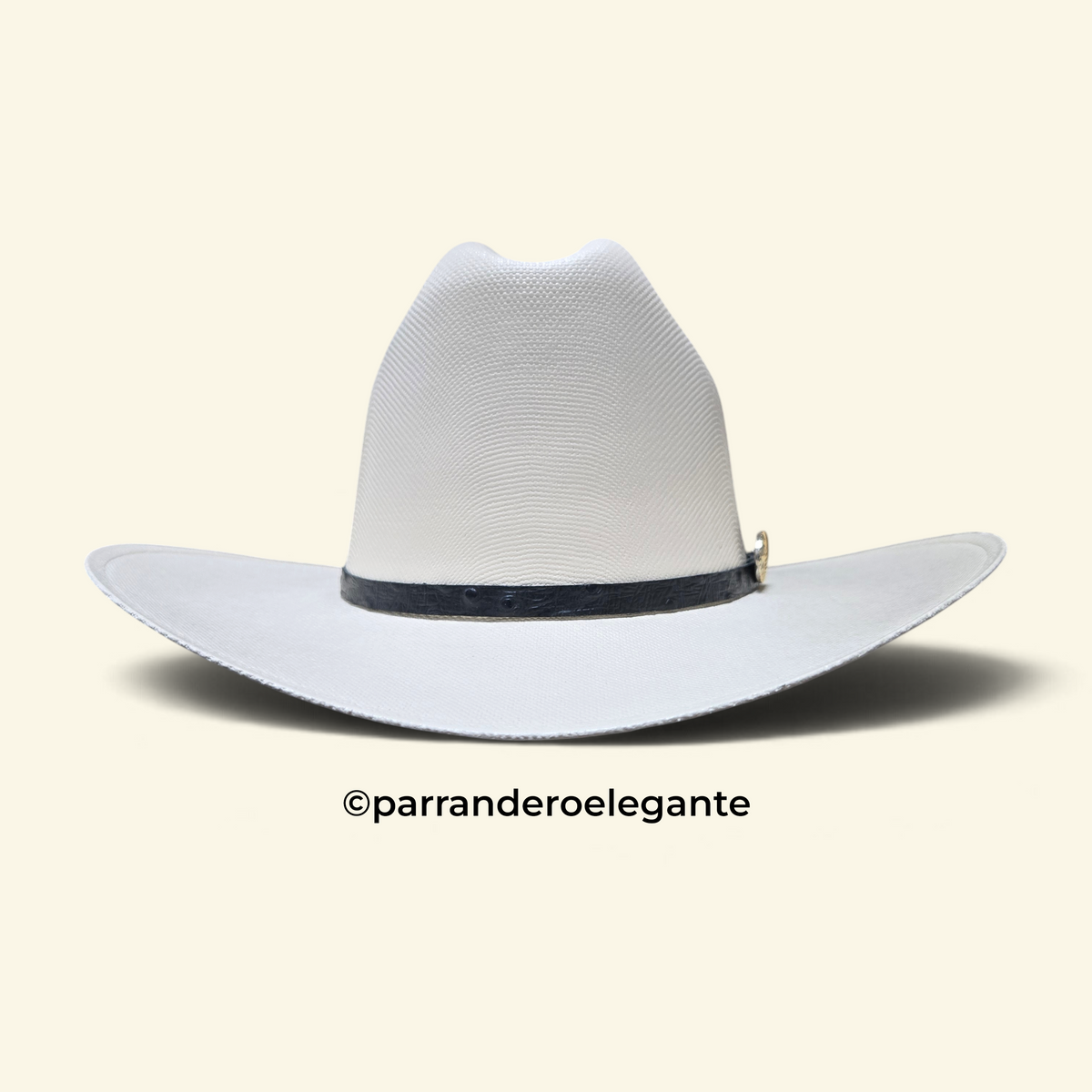 Stone 1000x Sinaloa San Judas Telar Sombrero Hat