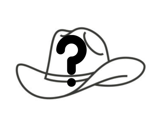 🎁 Mystery Cowboy Hat (100% off)