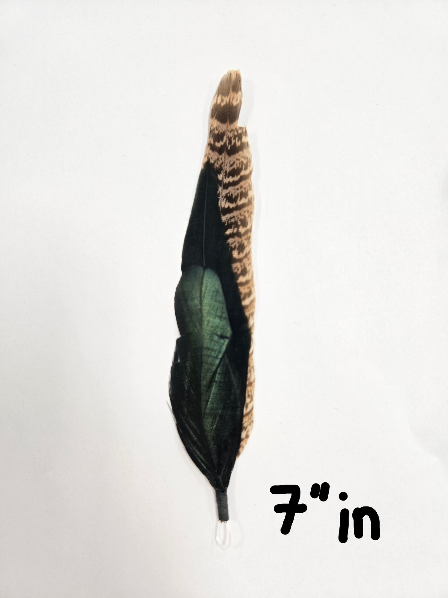 Feathers/Plumas One Piece