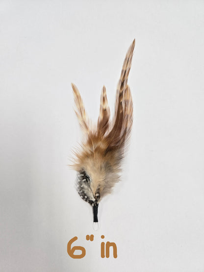 Feathers/Plumas One Piece