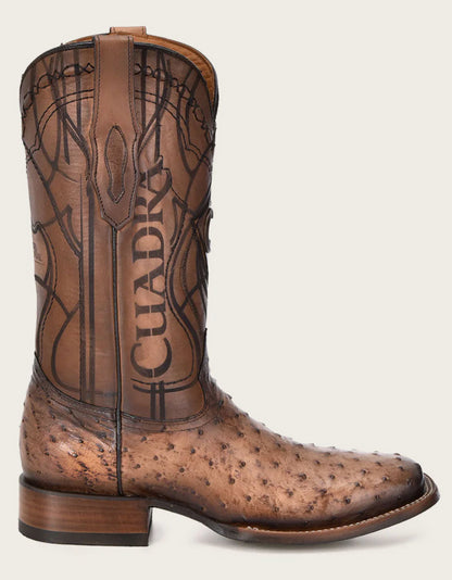 Cuadra Mens Engraved Ostrich Boot - Honey