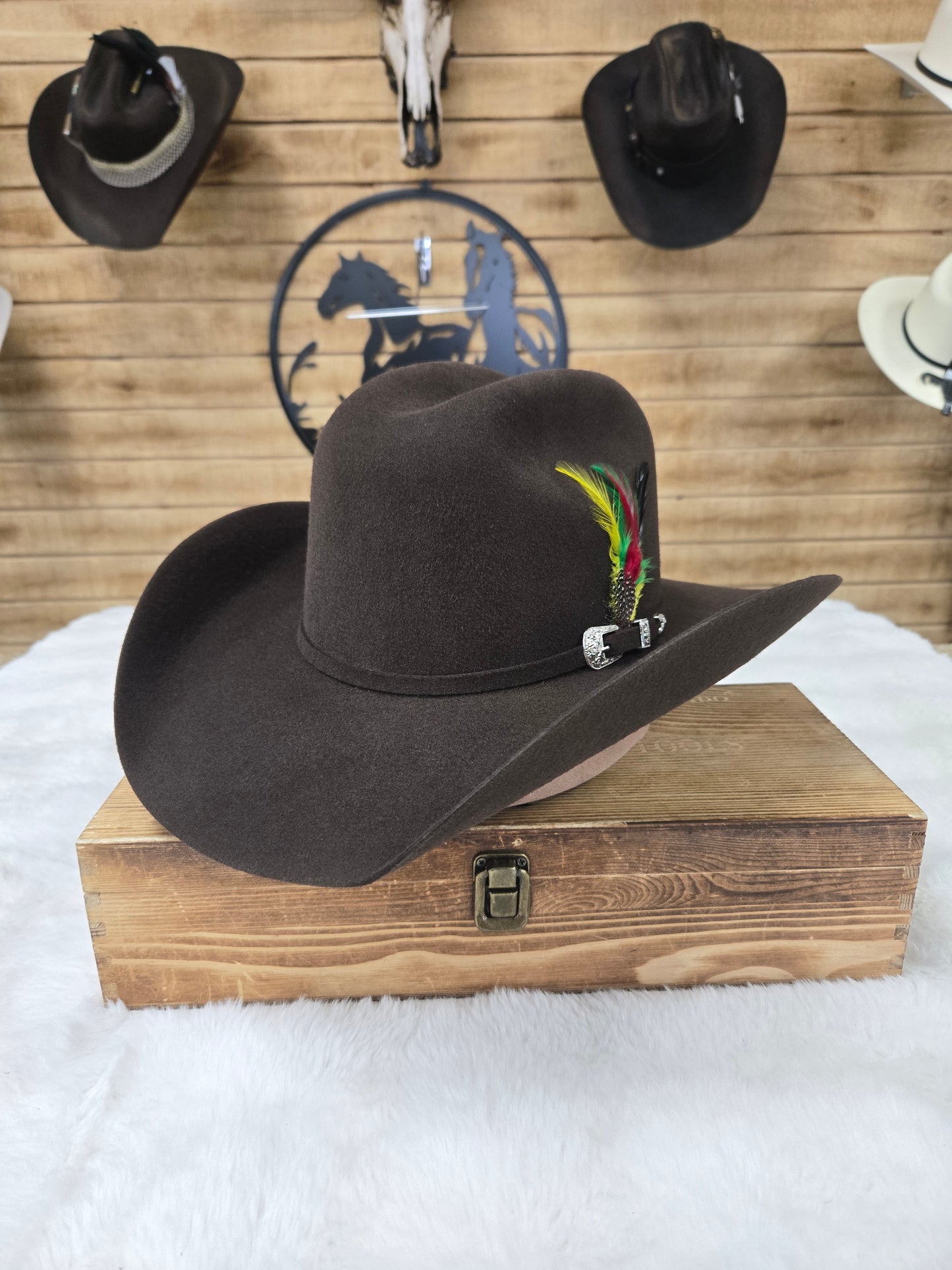 Potrero 30x Parrandero Wool Felt Hat - Grey,Black,Chocolate,Beige