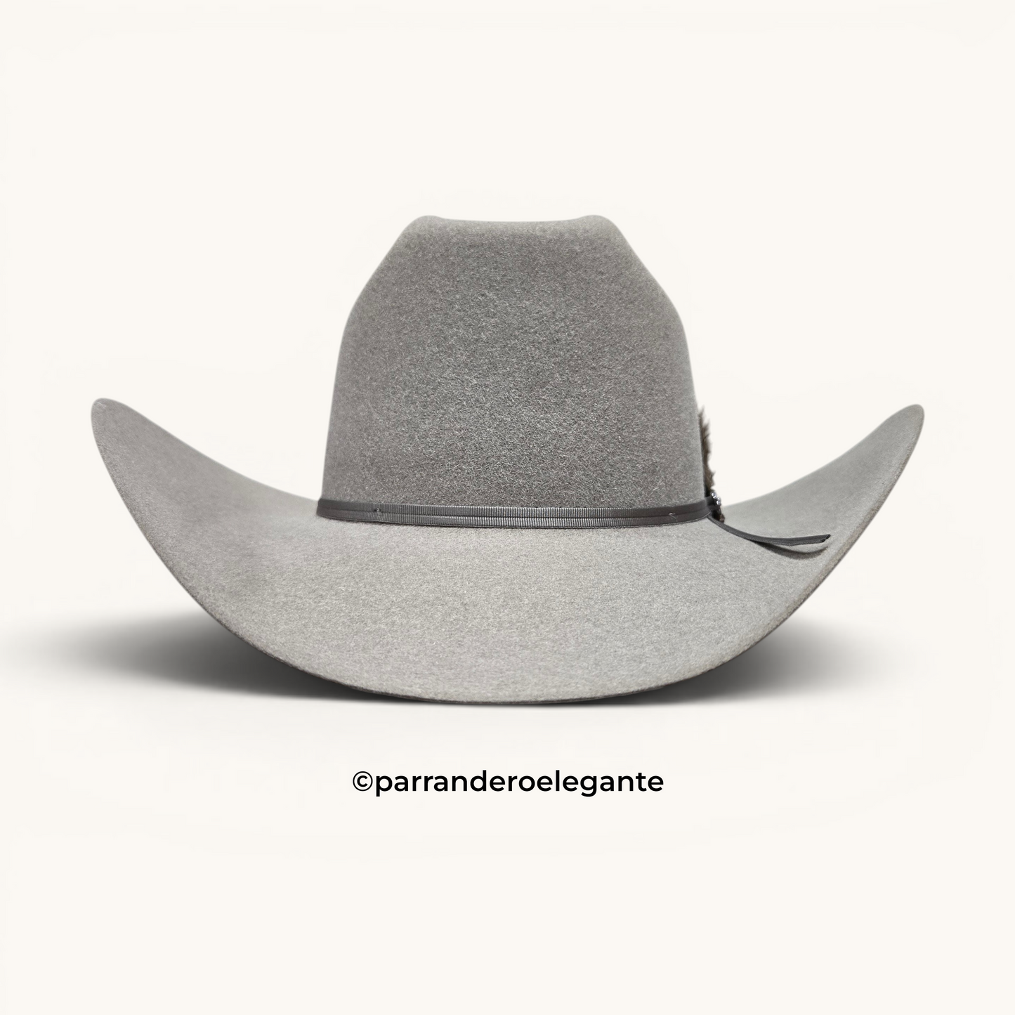 Stetson 6X Falcon Texana Felt Hat - Stone