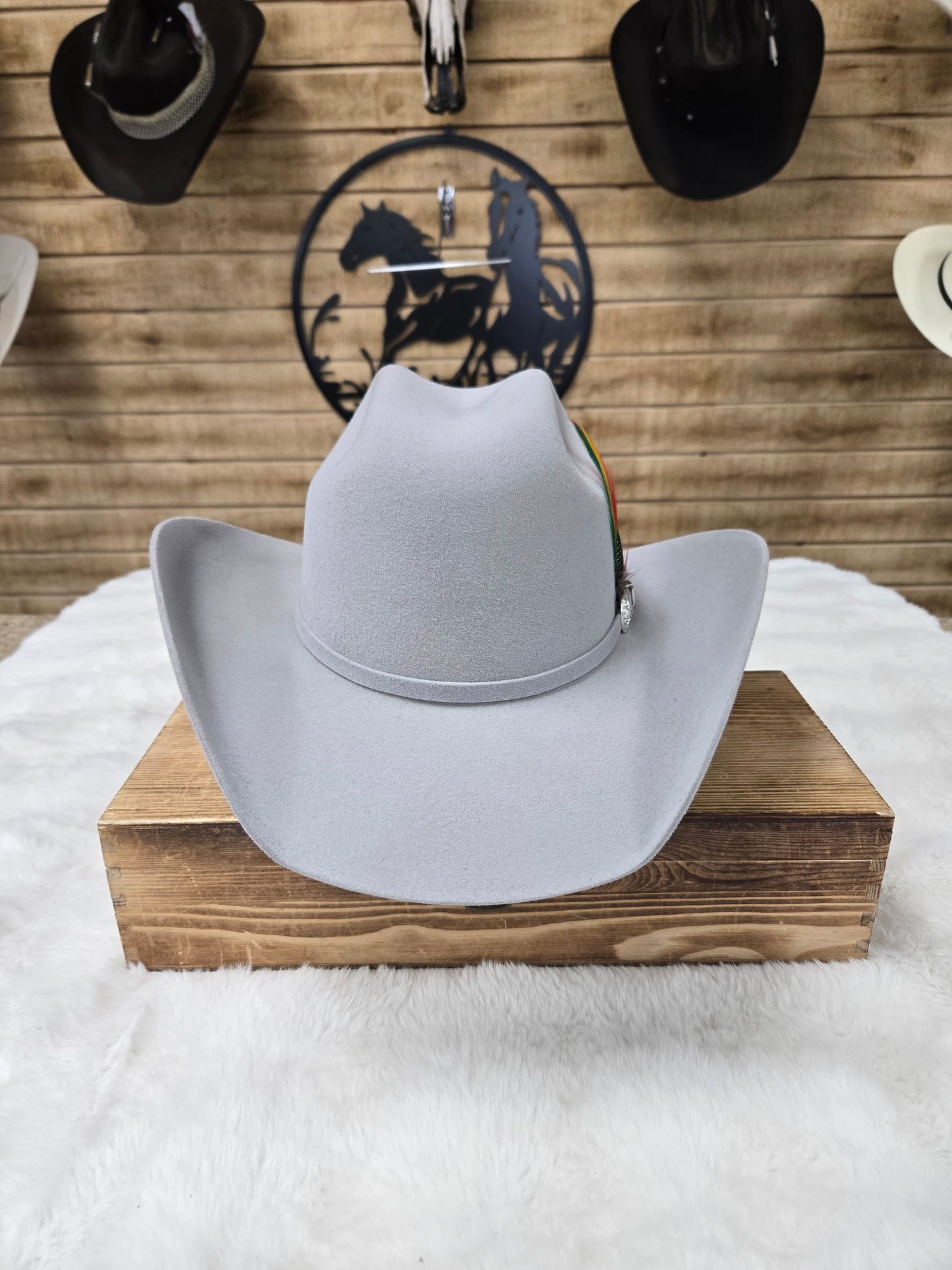 Potrero 30x Parrandero Wool Felt Hat - Grey,Black,Chocolate,Beige