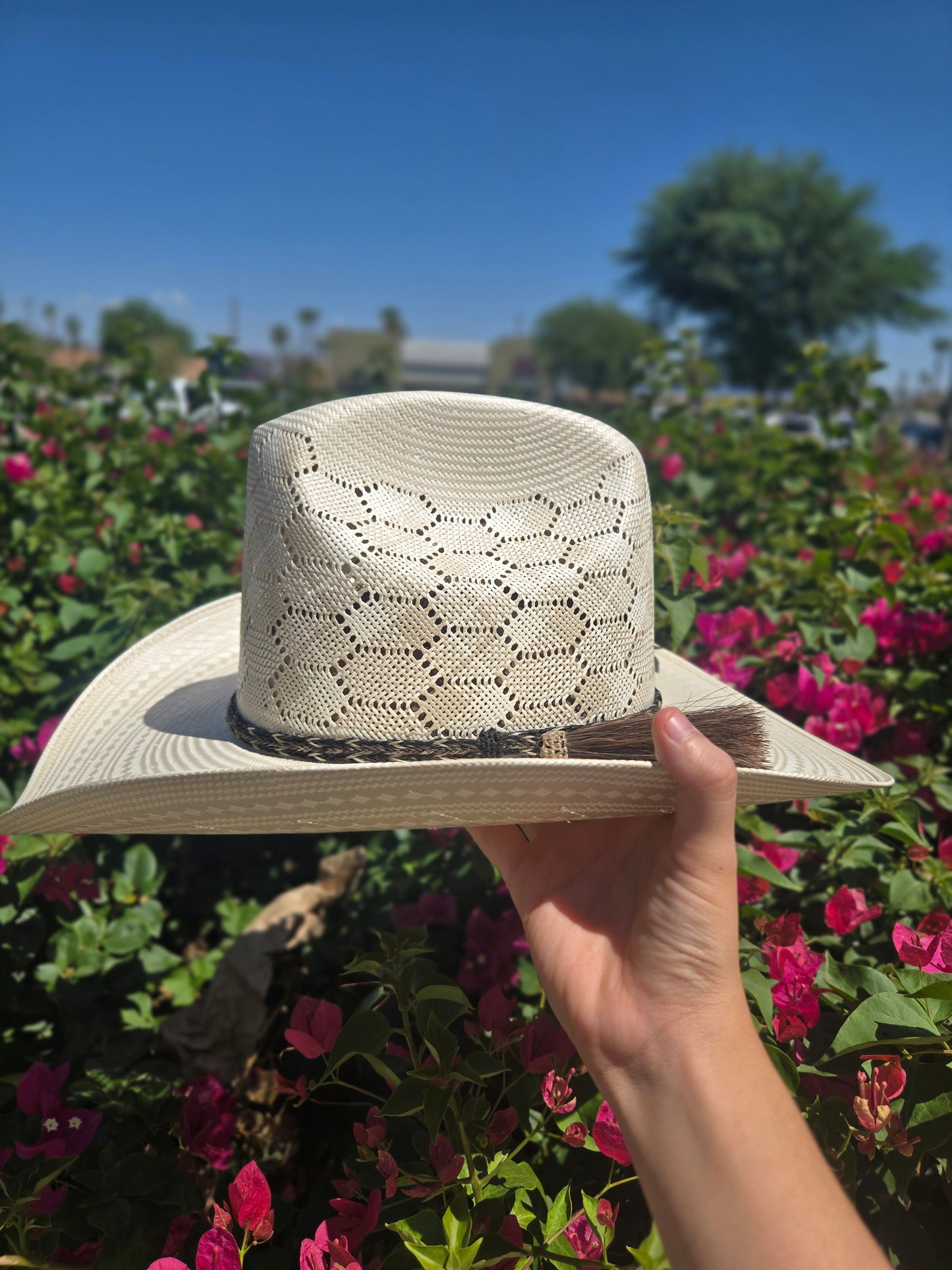 White Diamond 200x Sonora Toquilla de Cerda