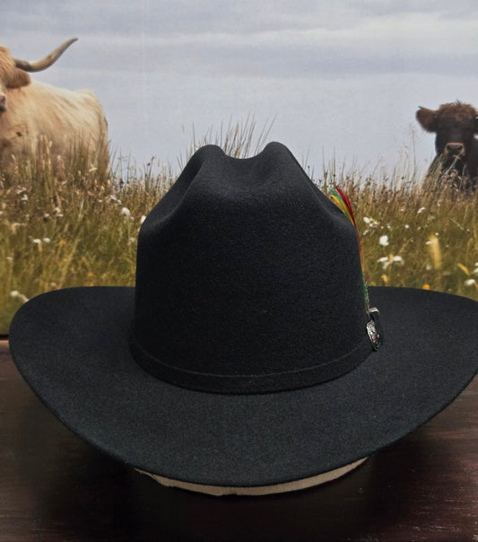 White Diamond 100x Sinaloa Wool Felt Hat - Black Chocolate