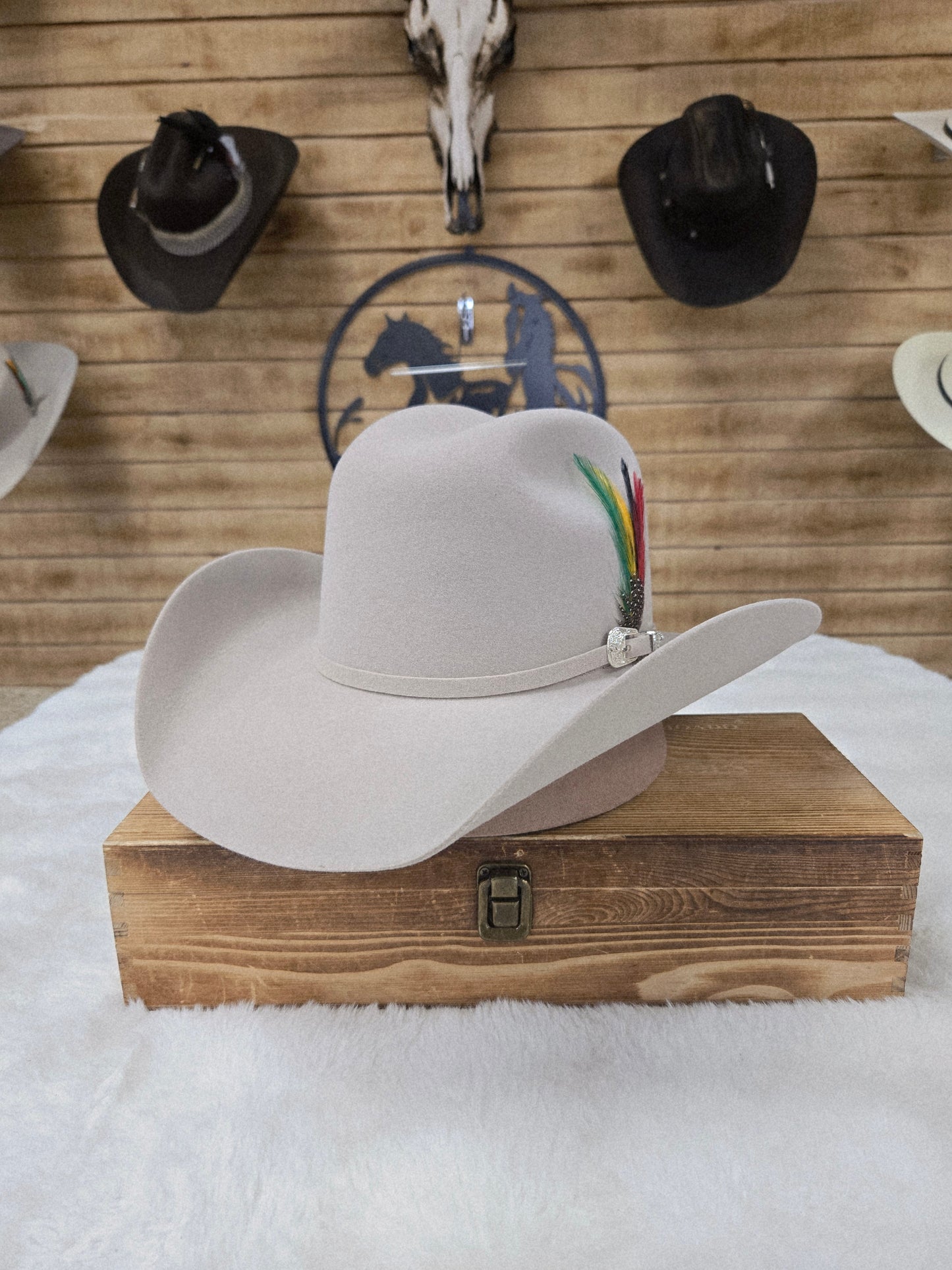 Potrero 30x Parrandero Wool Felt Hat - Grey,Black,Chocolate,Beige