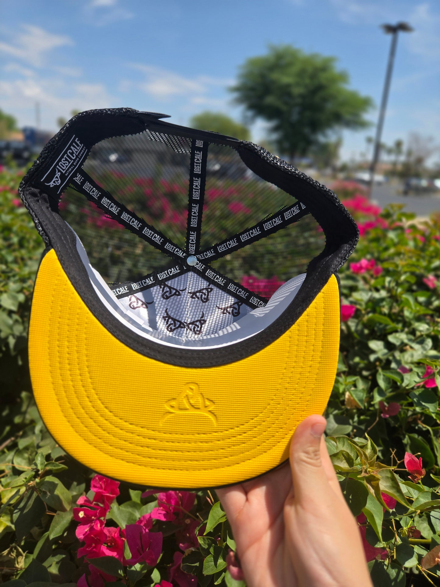Lost Calf Iron Gold