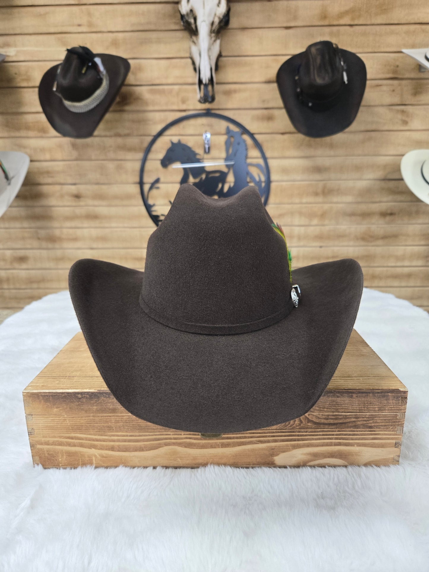 Potrero 30x Parrandero Wool Felt Hat - Grey,Black,Chocolate,Beige