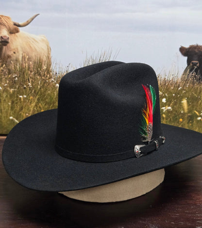 White Diamond 100x Sinaloa Wool Felt Hat - Black, Chocolate