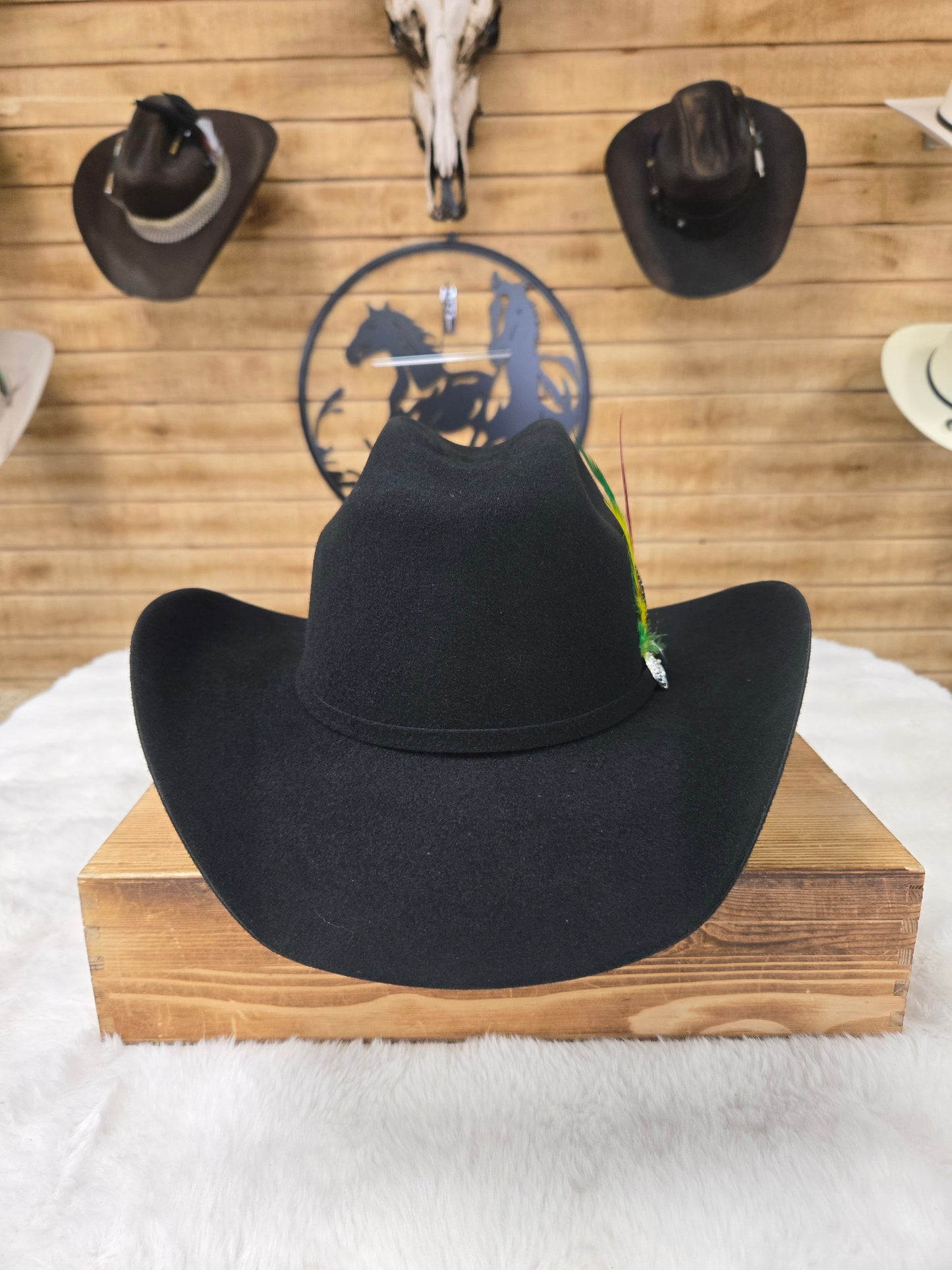Potrero 30x Parrandero Wool Felt Hat - Grey,Black,Chocolate,Beige