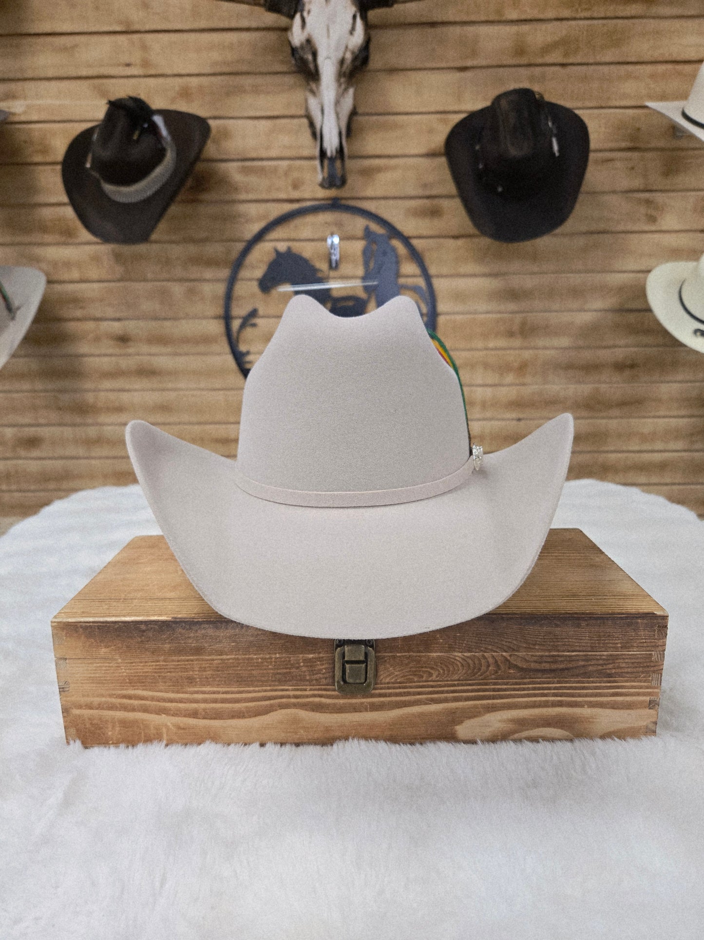 Potrero 30x Parrandero Wool Felt Hat - Grey,Black,Chocolate,Beige