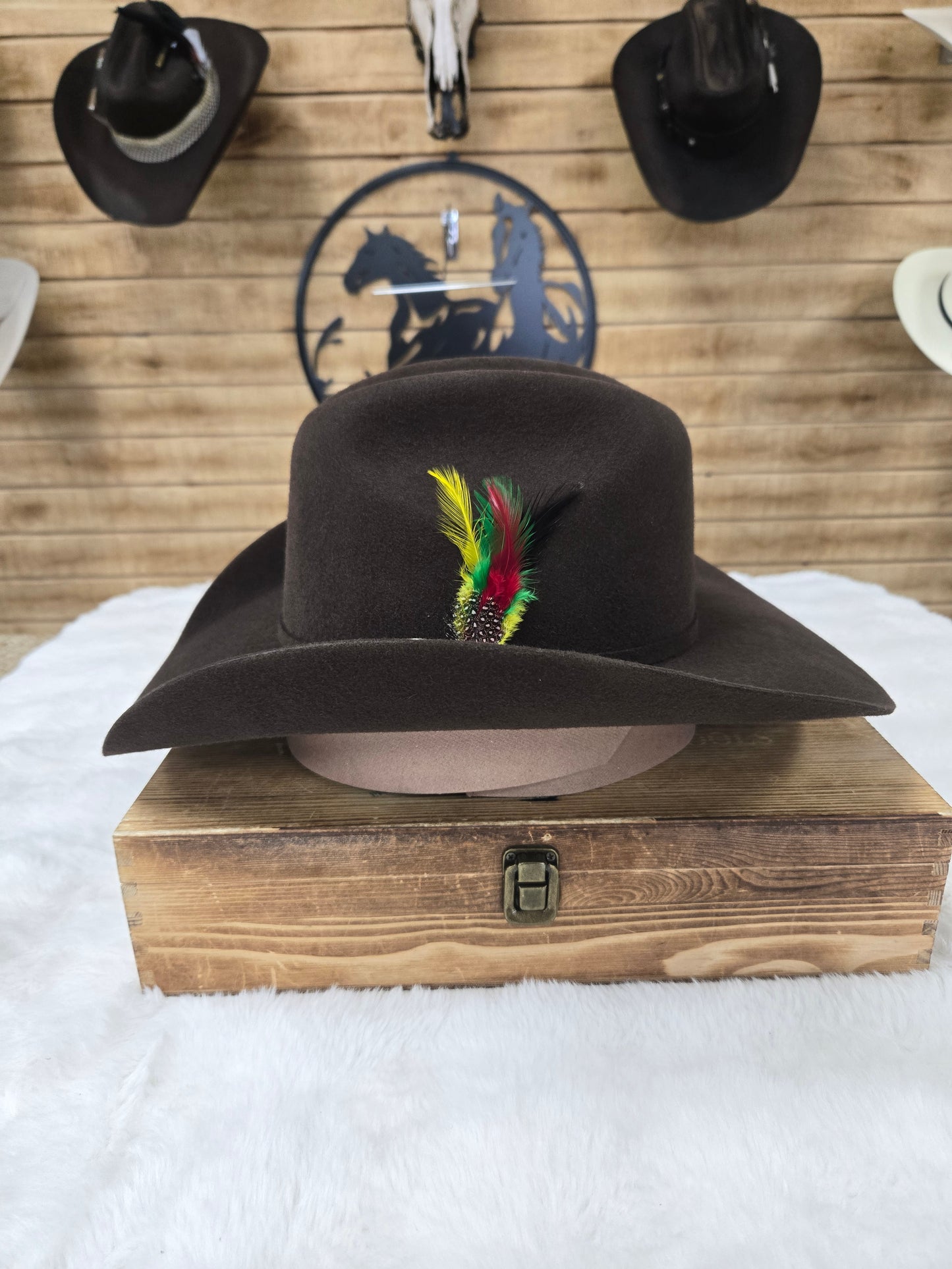 Potrero 30x Parrandero Wool Felt Hat - Grey,Black,Chocolate,Beige