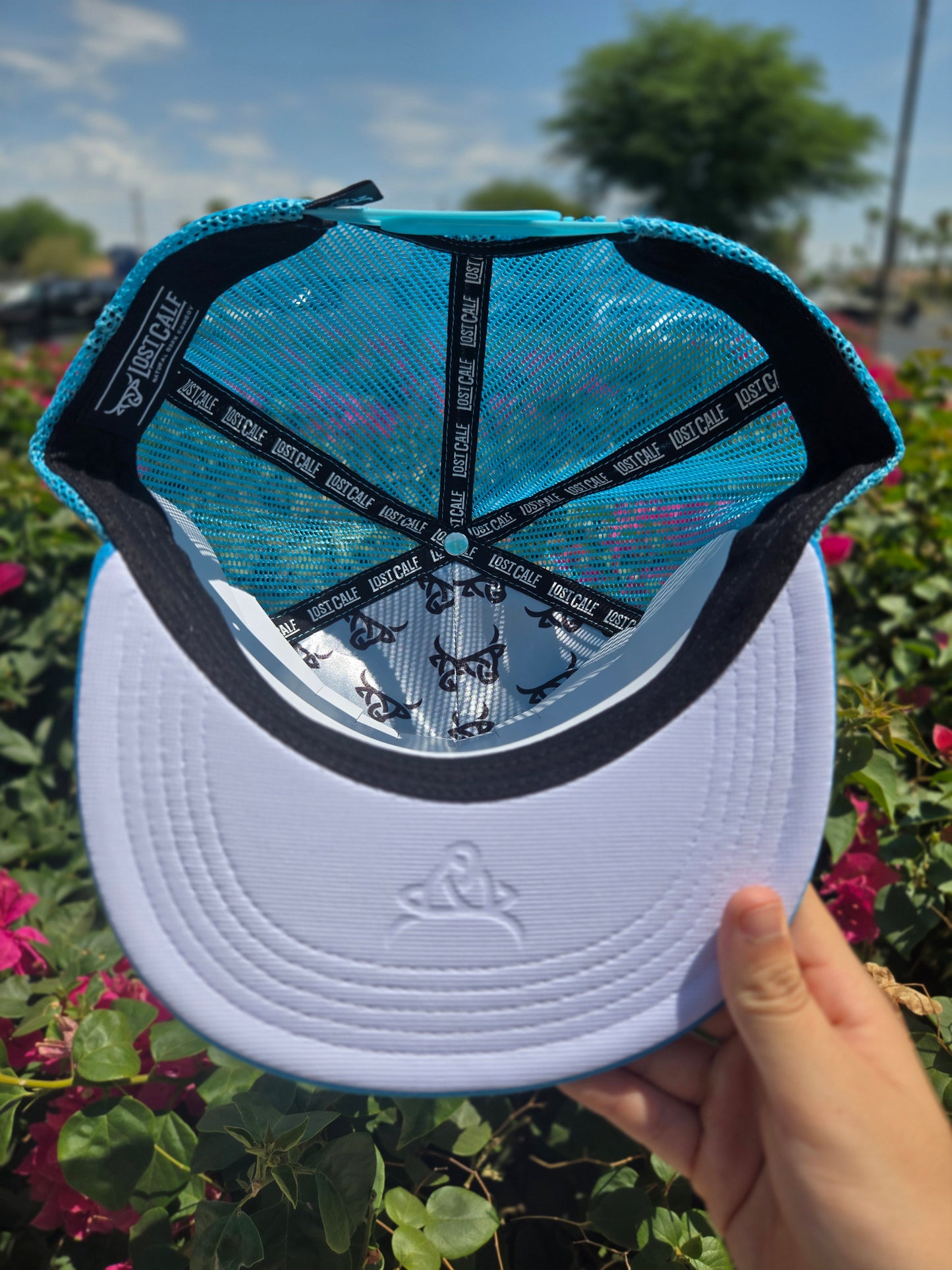 Lost Calf Ace